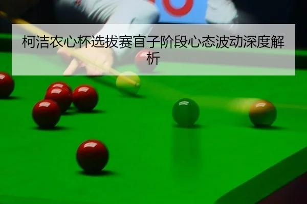 ke-jie-nong-xin-bei-xuan-ba-sai-guan-zi-jie-duan-xin-tai-bo-dong-shen-du-jie-xi-2-481.jpg