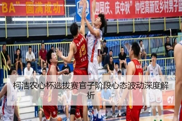 ke-jie-nong-xin-bei-xuan-ba-sai-guan-zi-jie-duan-xin-tai-bo-dong-shen-du-jie-xi-3-466.jpg