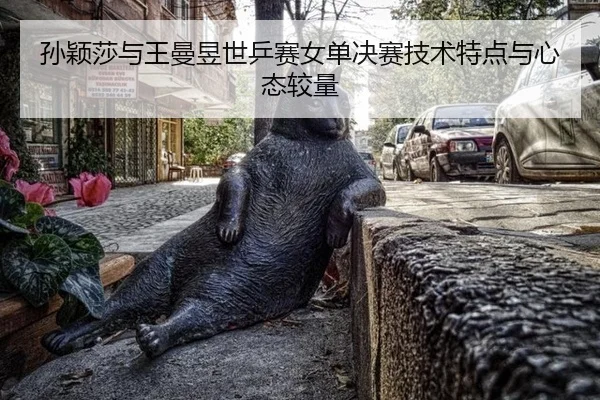 sun-ying-sha-yu-wang-man-yu-shi-ping-sai-nv-dan-jue-sai-ji-shu-te-dian-yu-xin-tai-jiao-liang-3-115.jpg